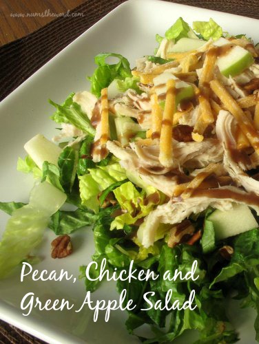 Pecan, Chicken and Green Apple Salad Pecan, Chicken and Green Apple Salad
