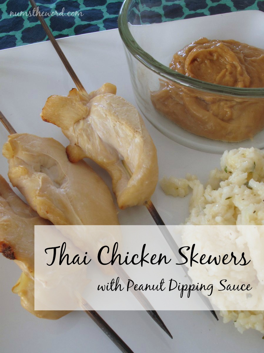 Thai Chicken Skewers Thai Chicken Skewers