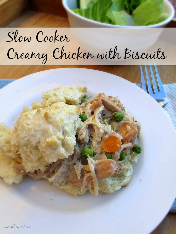 Slow Cooker Creamy Chicken and Biscuits Slow Cooker Creamy Chicken and Biscuits
