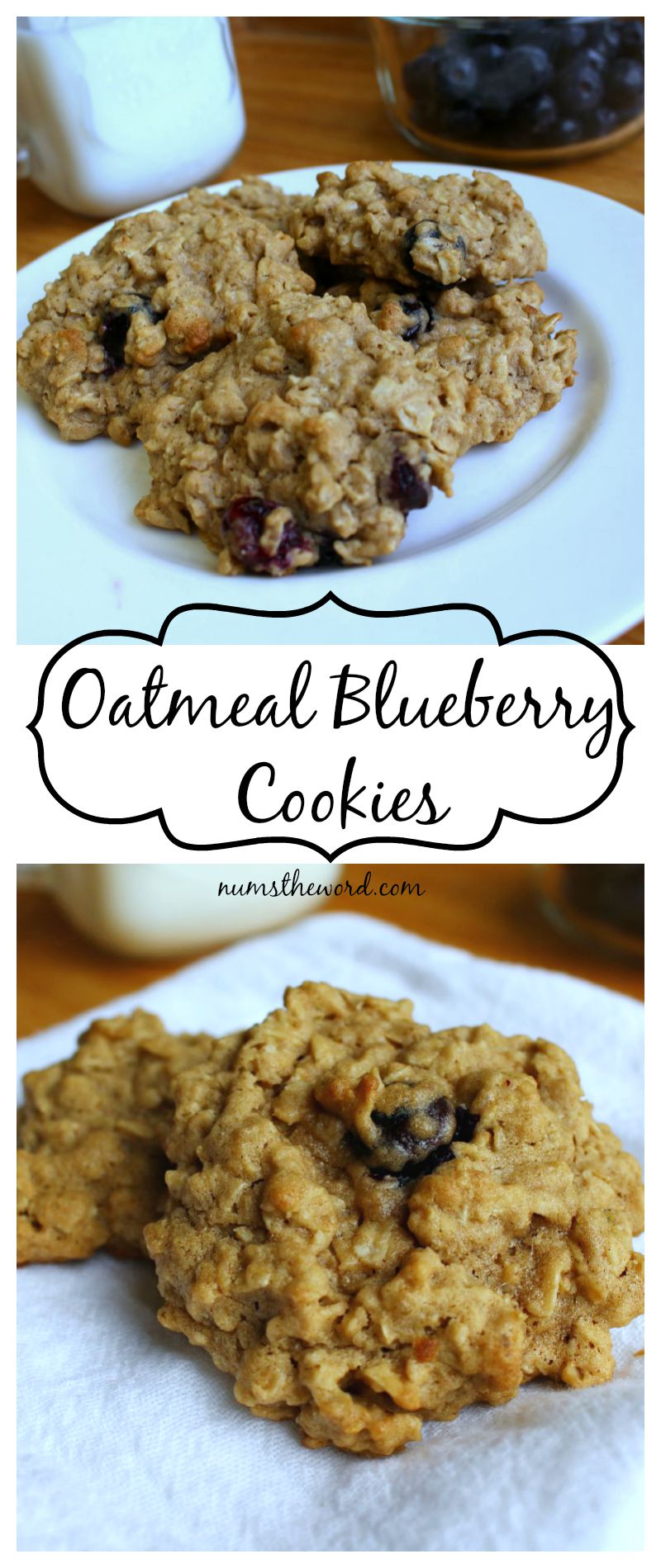 Oatmeal Blueberry Cookies Oatmeal Blueberry Cookies